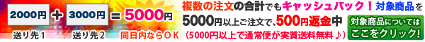 500�ߥ���å���Хå������ڡ��󳫺��桪