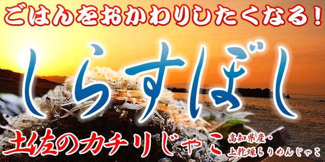 ���ΤΤ����ꡦ�崳���餹�ܤ��ʾ崥������󤸤㤳��