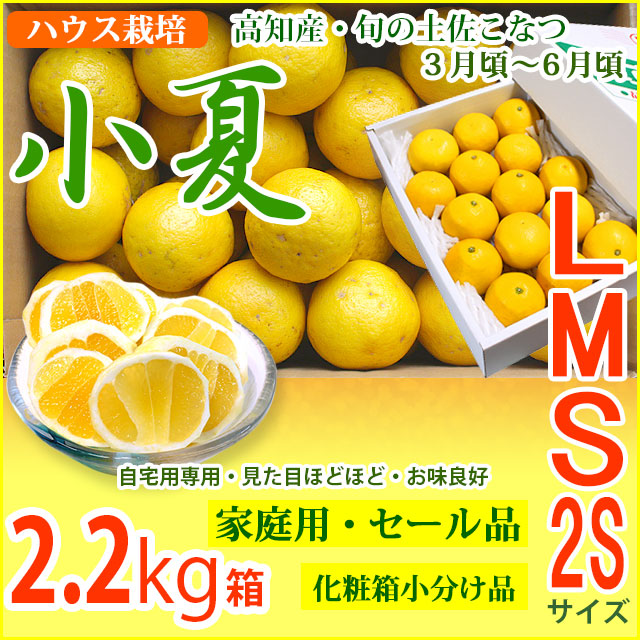 みんなの土佐小夏・家庭用・セール品・小箱(2.2kg)・2S、S、M、Lサイズ・高知県産・ハウス栽培の小夏