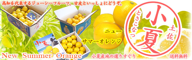 �ں����ơʤ��ʤġ˹��θ����˥塼���ޡ������