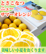 �ں����ơʤȤ����ʤġ�����̵��