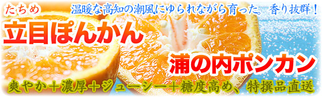 Ω�ܤݤ󤫤�
