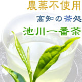 ���ָ��ꥻ�����桦�ں����������