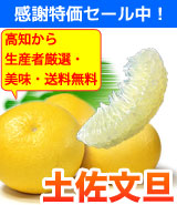 �ں�ʸö���Ծ�ľ����