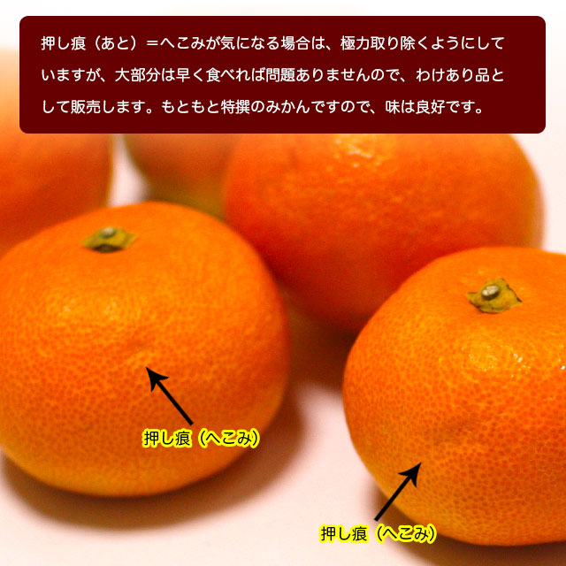 わけあり(家庭用)・山北温室みかん
