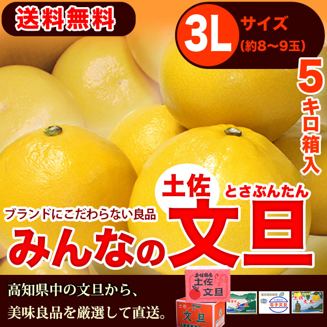 みんなの土佐文旦（とさぶんたん）・5kg・3Lサイズ・高知県内・中堅クラスの味良し厳選品をお届け