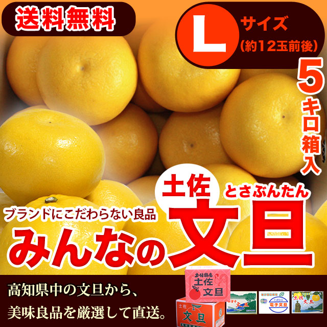 みんなの土佐文旦5キロＬサイズ