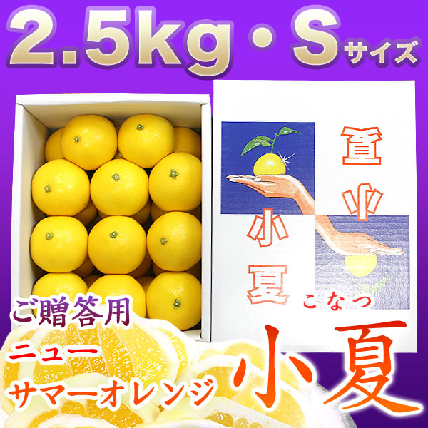 ニューサマーオレンジ（土佐小夏）2.5kg・Sサイズご贈答用