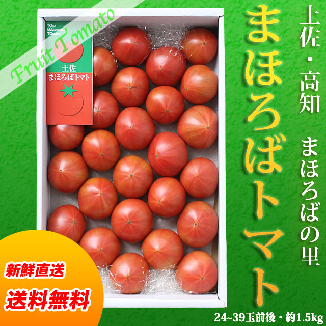 土佐まほろばトマト（特選品）1.5kg箱（24～39玉前後入り）