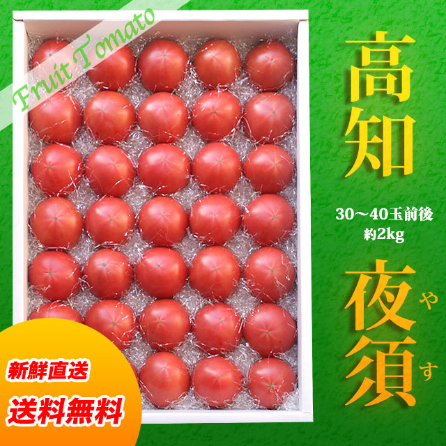 高知・夜須フルーツトマト約2kg（30玉～40玉前後）