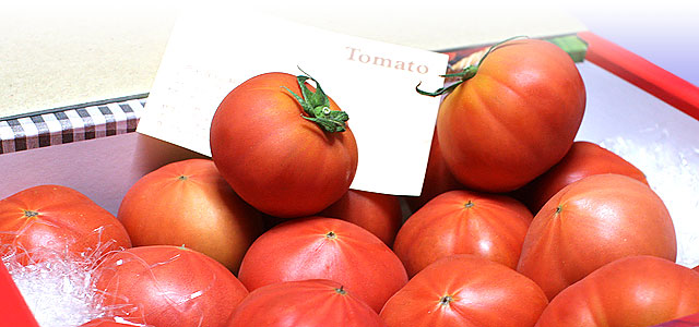 高知産トマト（A品）