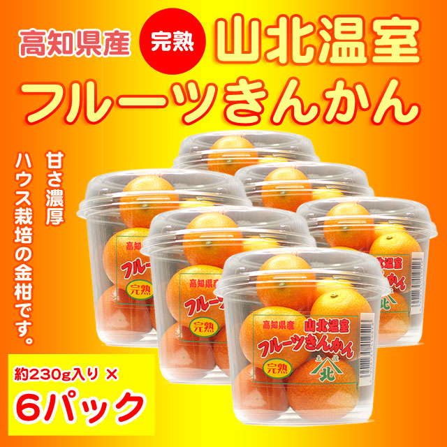 金柑（キンカン）・高知県産・完熟・山北温室フルーツきんかん（ハウス栽培品）約230g×6パックセット