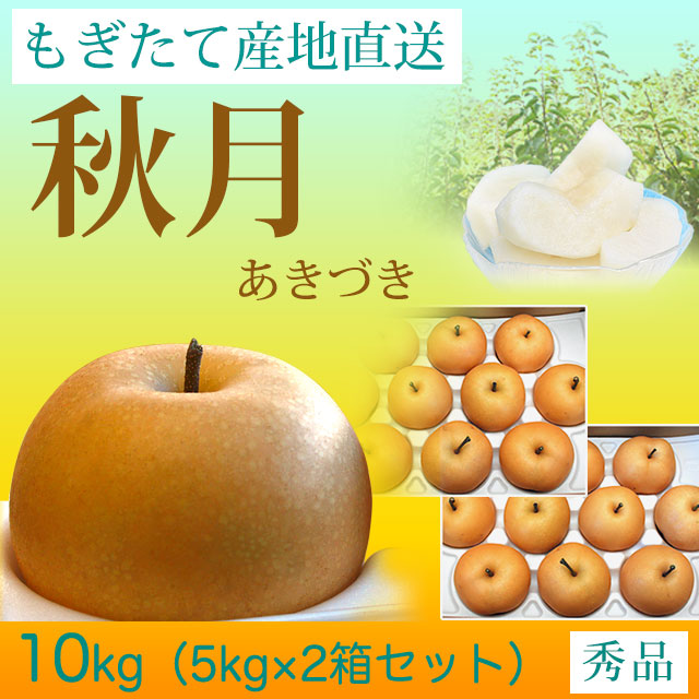 秋月（あきづき）梨（なし）・秀品・10kg(5kg×2箱セット)・厳選農家の産地直送