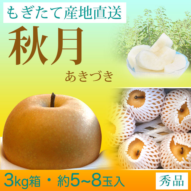 秋月（あきづき）梨（なし）・秀品・3kg・約5～8玉入り・厳選農家の産地直送