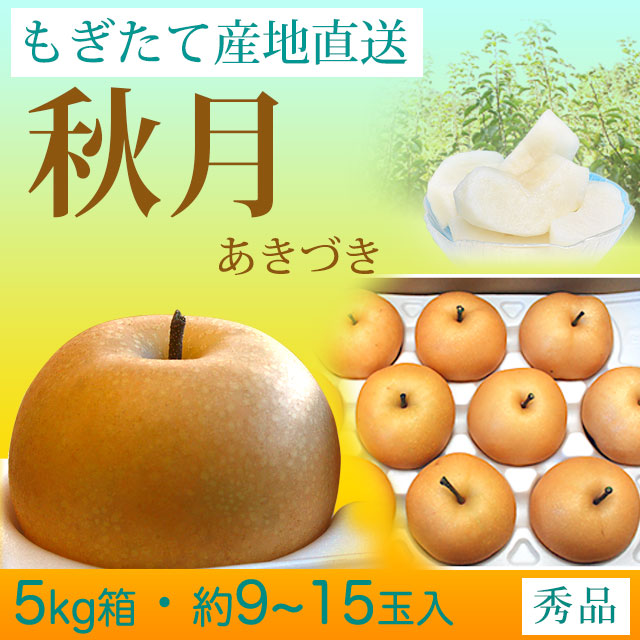 秋月（あきづき）梨（なし）・秀品・5kg・約9～15玉入り・厳選農家の産地直送