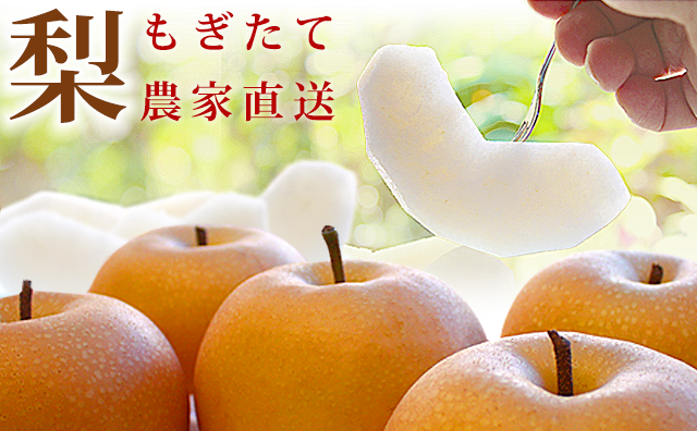梨（なし）・農家から産地直送
