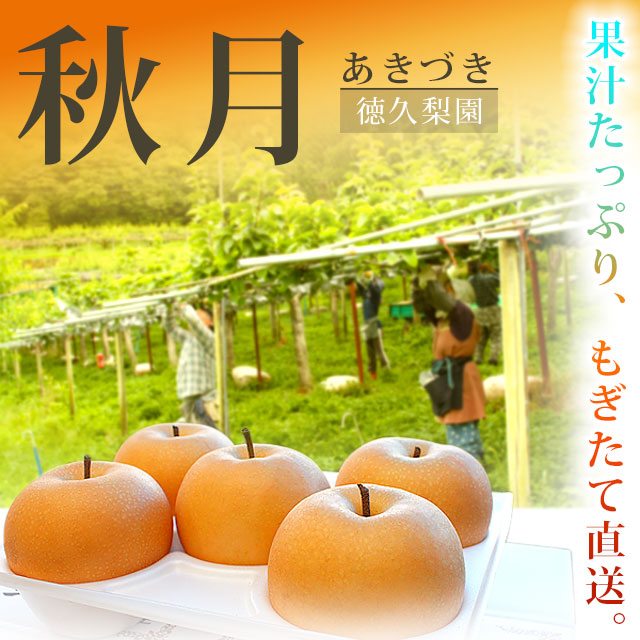 あきづき 秋月梨の通販 美味しい梨・産地直送
