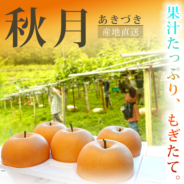 秋月（あきづき）梨通販・美味しい梨・産地直送