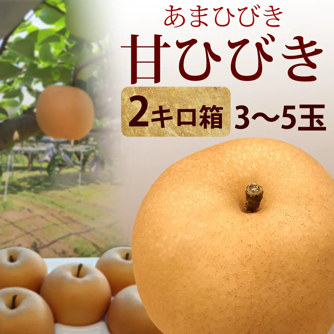 甘ひびき・秀品・2kg・3玉～5玉前後入・厳選農家のあまひびき・梨（なし）産地直送