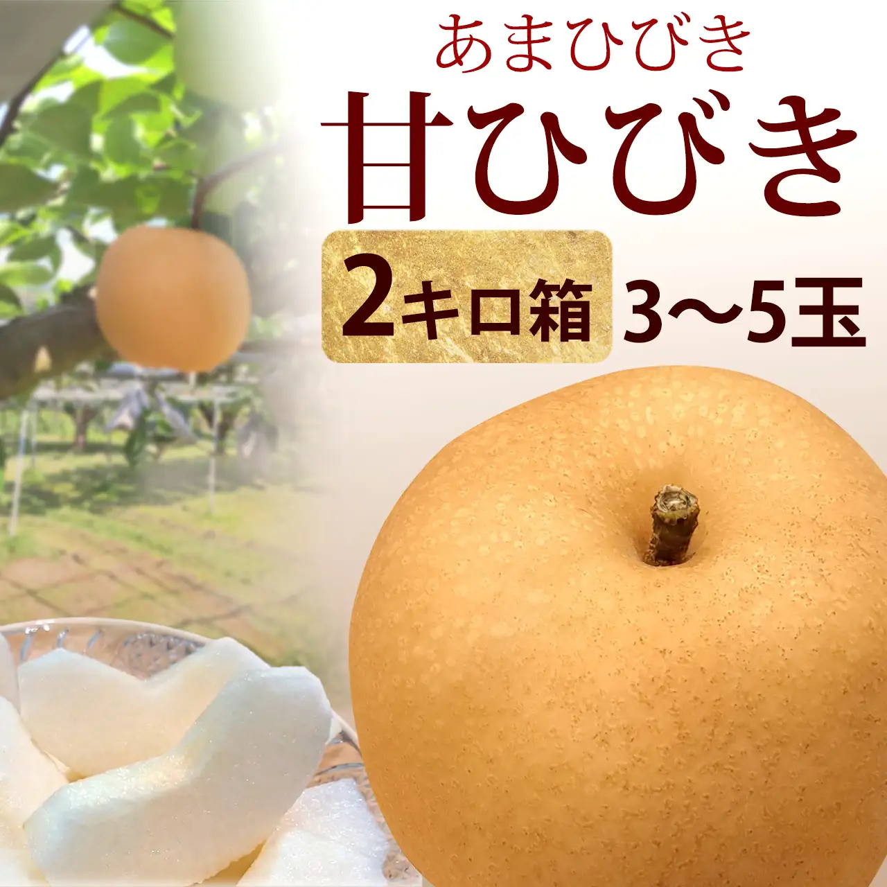 甘ひびき梨（あまひびき）2kg箱