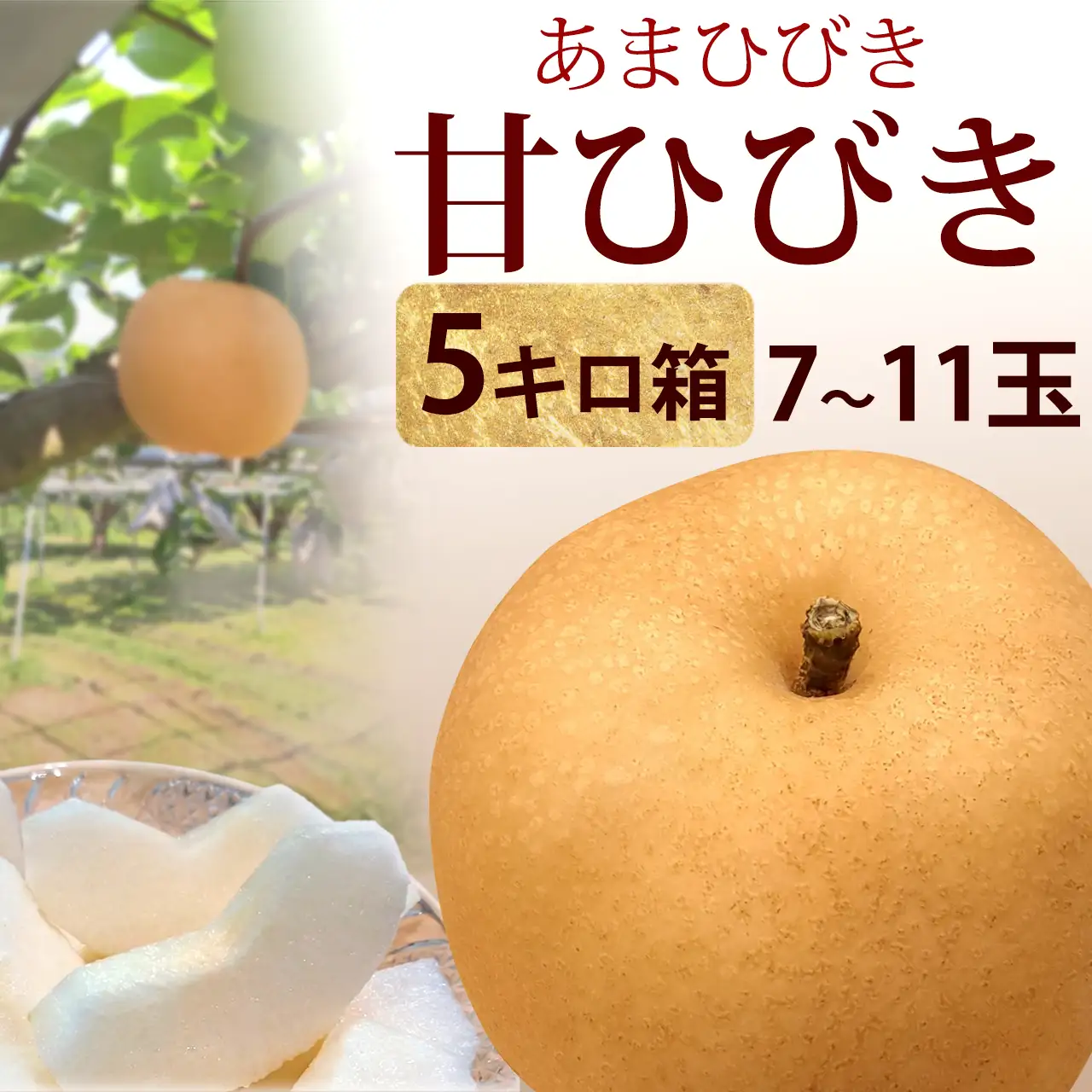 甘ひびき梨（あまひびき）5kg箱