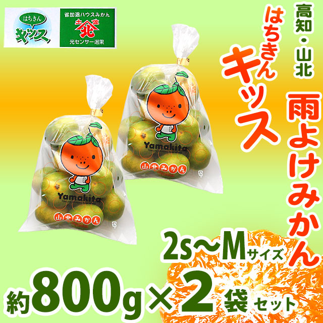 雨よけみかん・はちきんキッス・高知・山北・光センサー選果・赤秀品・800g×2袋セット・2S～Mサイズおまかせ【送料無料】