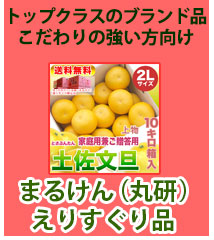 まるけん（丸研）文旦・えりすぐり