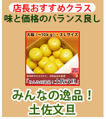 みんなの逸品！土佐文旦