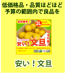 安い！文旦