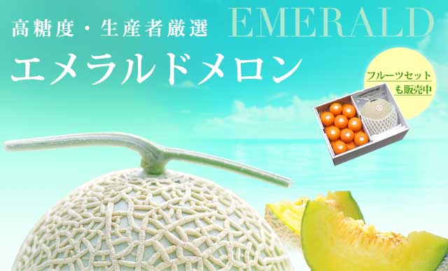 夜須のエメラルドメロン
