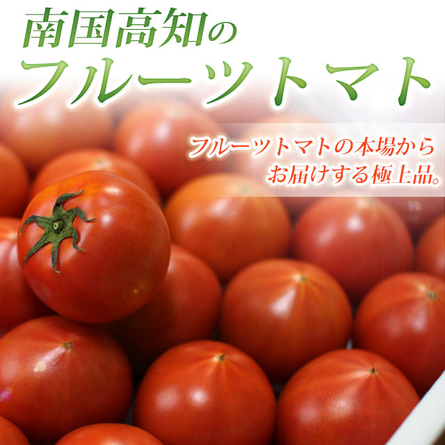 フルーツトマト 高知県産トマト販売 高知さとのわ