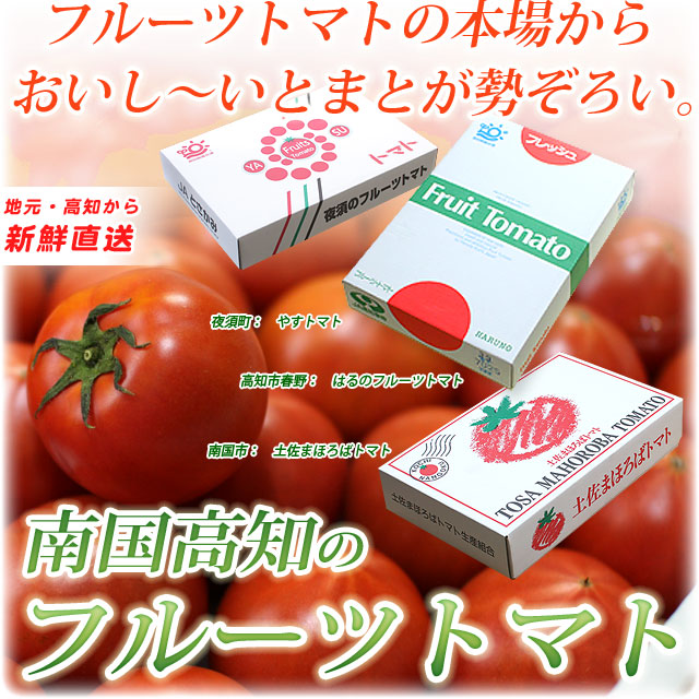 フルーツトマト 高知県産トマト販売 高知さとのわ