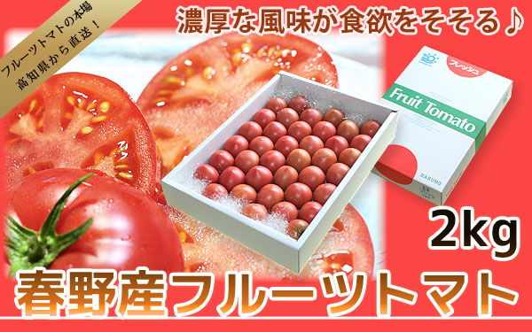高知春野産　フルーツトマト2kg