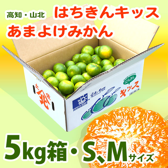 雨よけみかん・はちきんキッス（高知・山北みかん・あまよけ）光センサー選果・5kg箱・選べるS、Mサイズ