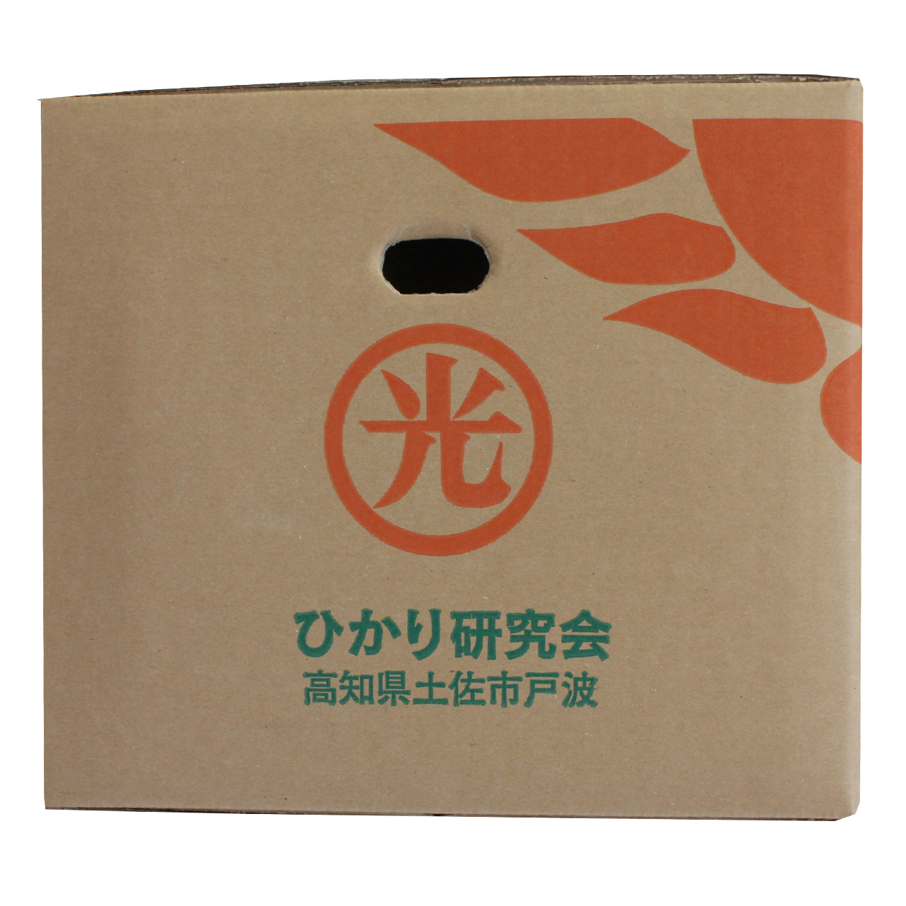 光 ぶんたん 外箱側面