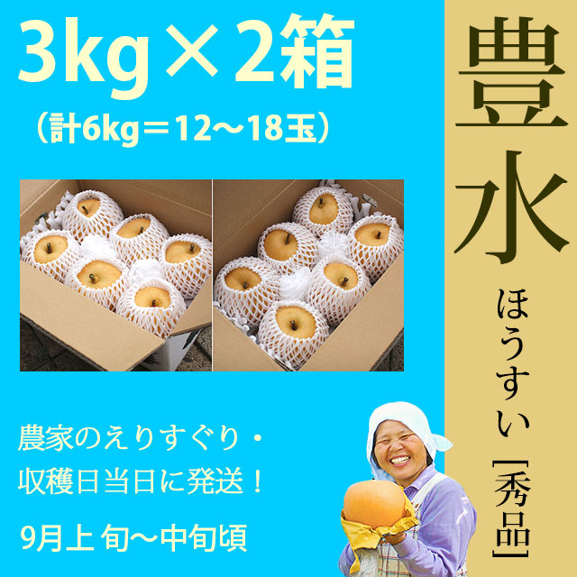 【木なり完熟・もぎたて】豊水梨・秀品・6kg（3kg×2箱セット）計10～18玉・厳選農家の産地直送