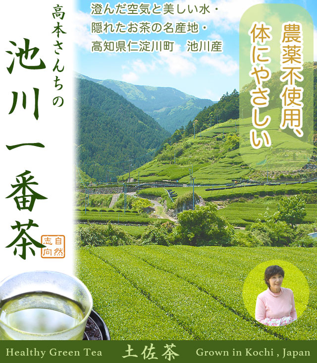 隠れたお茶の名産地、高知県仁淀川町・池川の一番茶