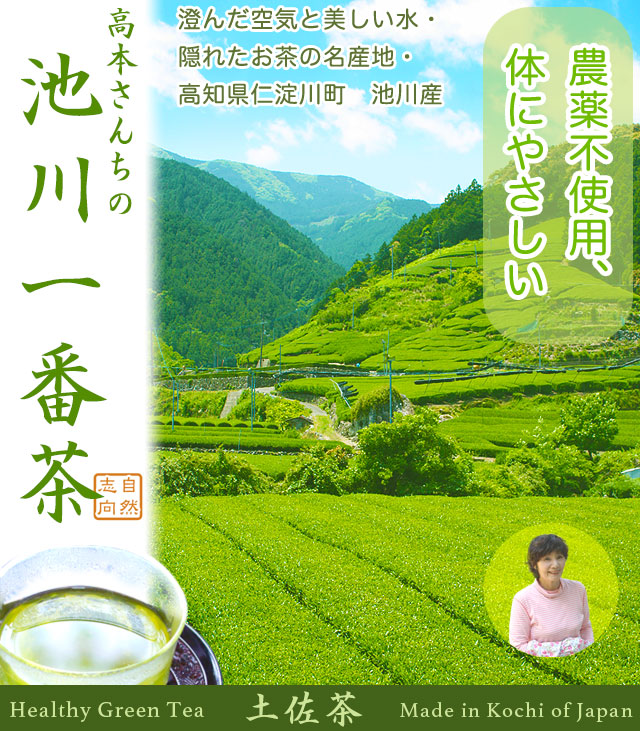 隠れたお茶の名産地、高知県仁淀川町・池川の一番茶
