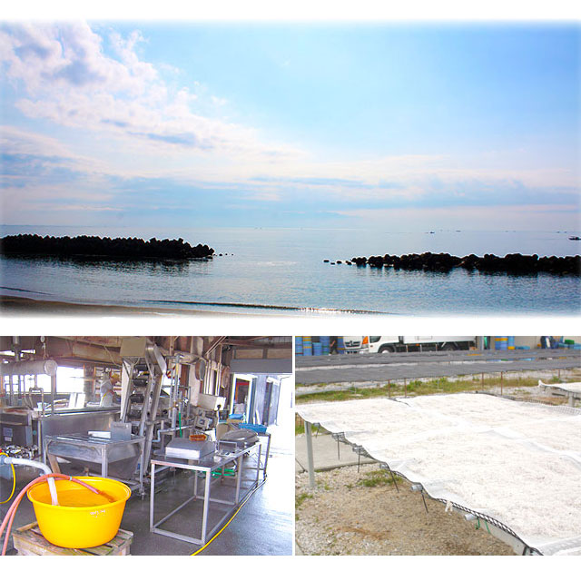 ちりめんじゃこ工場とその前の浜