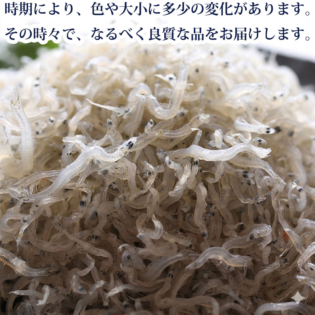 時期により、かちりじゃこの色や大小に違いが出る場合あり・最良の品をお届け