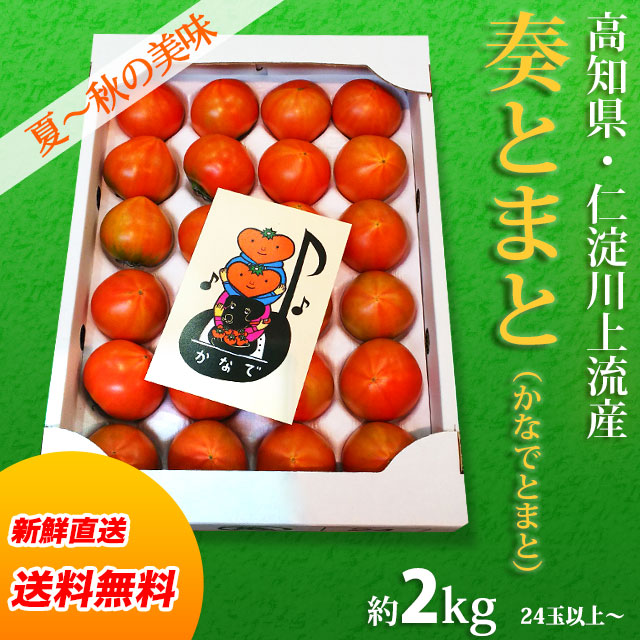 奏とまと 高知県からクール直送 夏の味濃厚かなでトマト