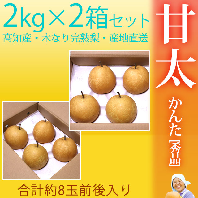 甘太（かんた）梨（なし）・秀品・2kg×2箱セット（合計8玉前後入）・木なり完熟【産地直送】