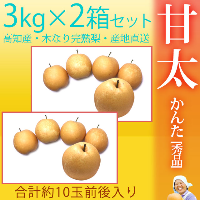 甘太（かんた）梨（なし）・秀品・3kg×2箱セット（合計10玉前後入）・木なり完熟【産地直送】