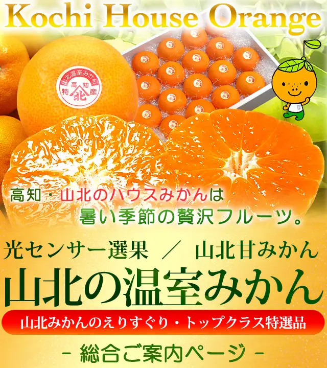 山北温室みかん ハウスもの特選ギフト特集ページトップイメージ