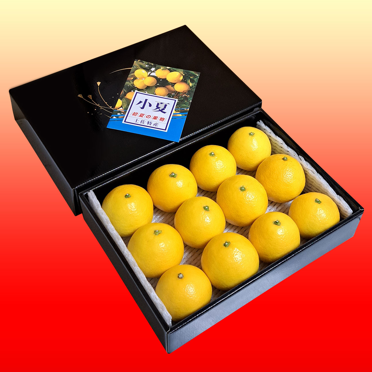 土佐小夏（高知県産・ハウス小夏）・小箱（約1.5～1.7kg）15～18玉入・S～Mサイズ