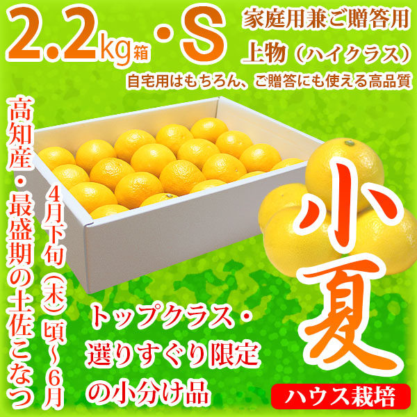 土佐小夏（高知県産）・家庭用兼ご贈答用（上物・ハイクラス）・小箱（約2.2kg）・Sサイズ