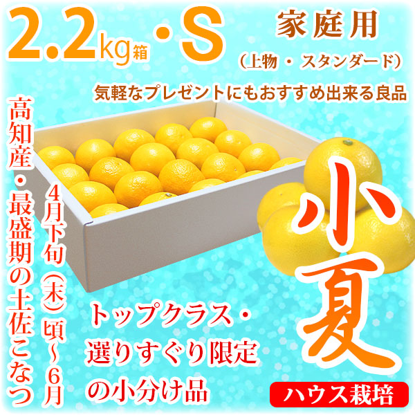 土佐小夏（高知県産）・家庭用（上物・スタンダード）・小箱（約2.2kg）・Sサイズ