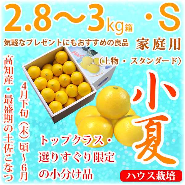 土佐小夏（高知県産）・家庭用（上物・スタンダード）・中箱（約2.8～3kg）・Sサイズ