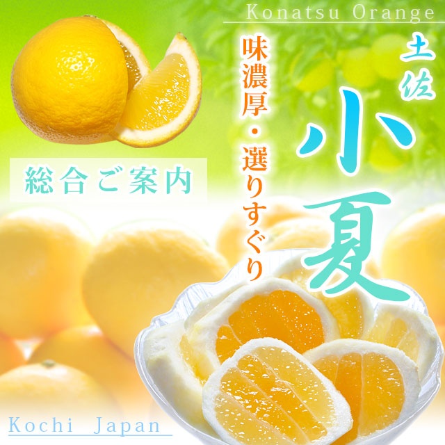 小夏（ハウス栽培・土佐小夏）・通信販売トップページ