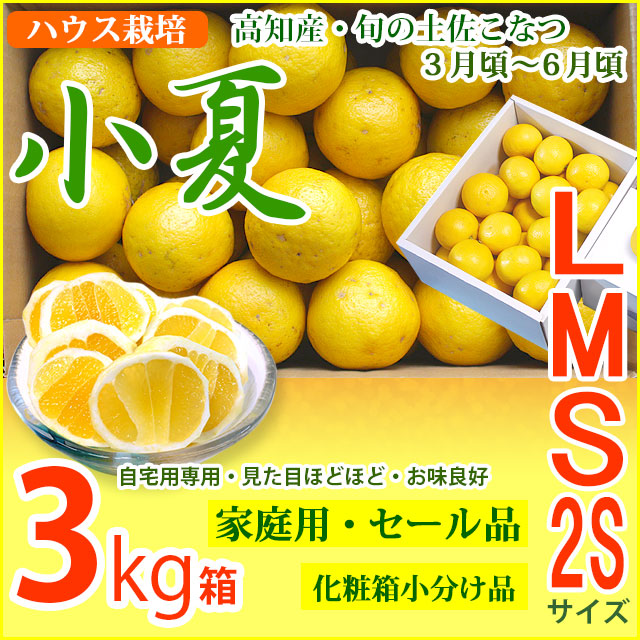 みんなの土佐小夏・家庭用・セール品・大箱(3kg)・2S、S、M、Lサイズ・高知県産・ハウス栽培の小夏